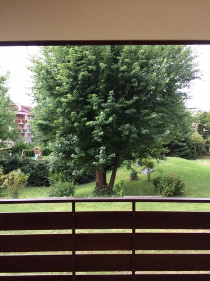 Appartements Am Park Bad Krozingen Ngoại thất bức ảnh